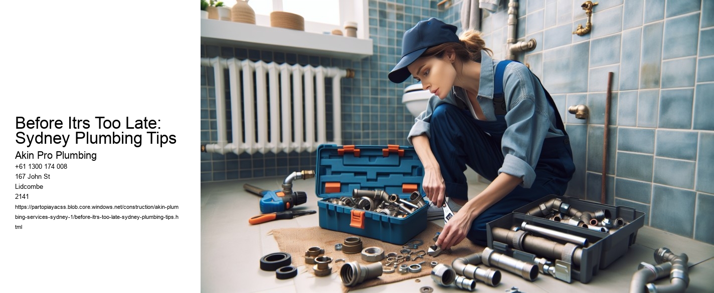Before Itrs Too Late: Sydney Plumbing Tips