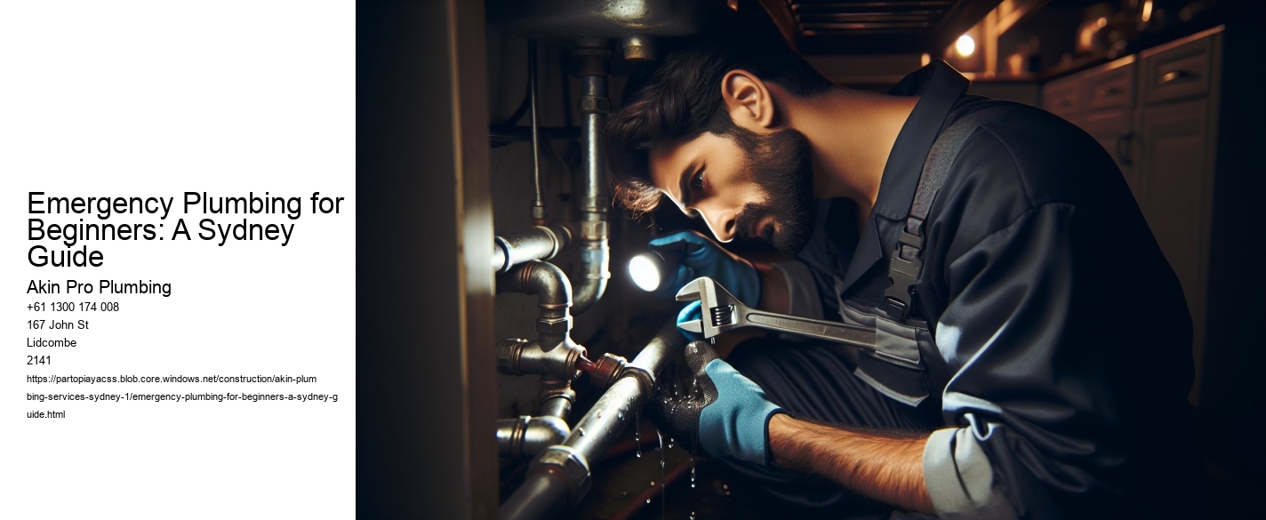 Emergency Plumbing for Beginners: A Sydney Guide