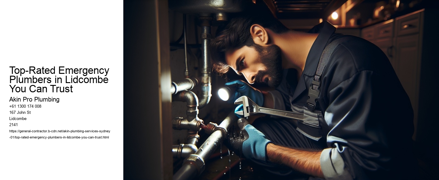 Top-Rated Emergency Plumbers in Lidcombe You Can Trust