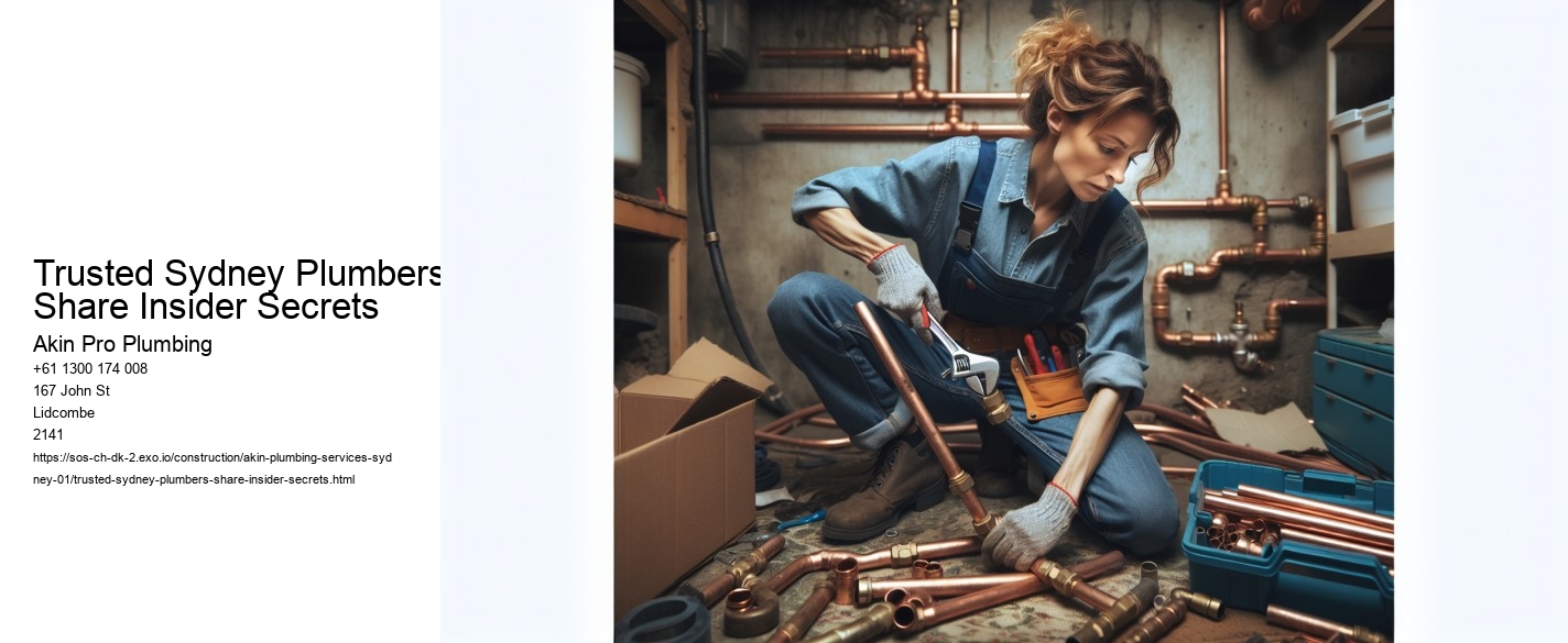 Trusted Sydney Plumbers Share Insider Secrets