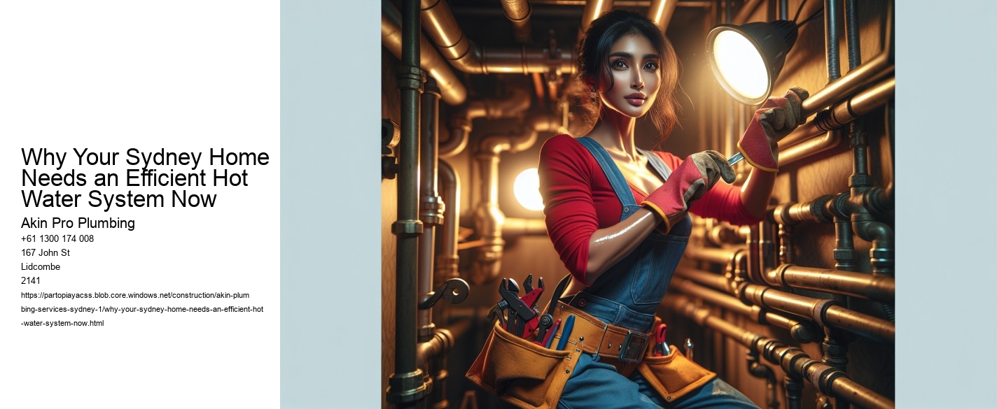 Why Your Sydney Home Needs an Efficient Hot Water System Now