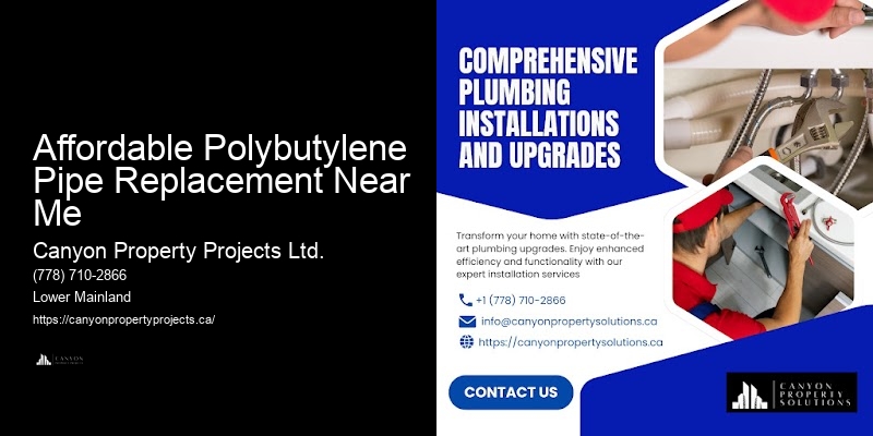 Polybutylene Pipe Removal Services Affordable Polybutylene Pipe Replacement Near Me