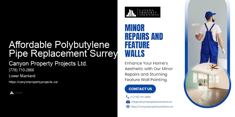 Residential Polybutylene Pipe Replacement Affordable Polybutylene Pipe Replacement Surrey