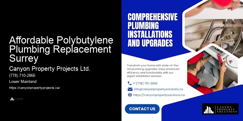 Local Polybutylene Plumbing Experts Affordable Polybutylene Plumbing Replacement Surrey
