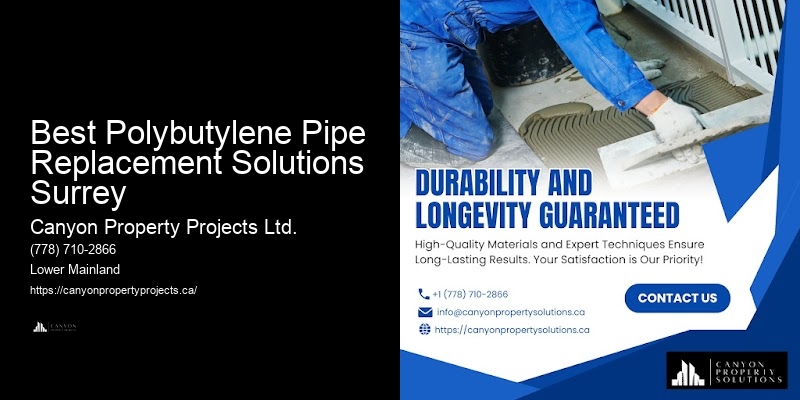 Comprehensive Polybutylene Pipe Inspection and Replacement Services in Best Polybutylene Pipe Replacement Solutions Surrey