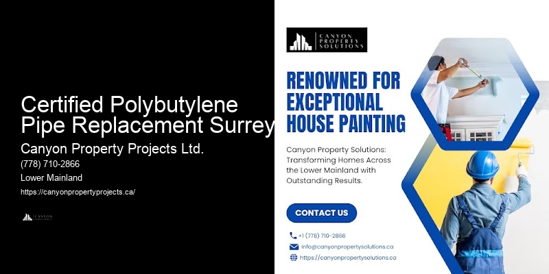 Polybutylene Pipe Replacement Specialists Near Me