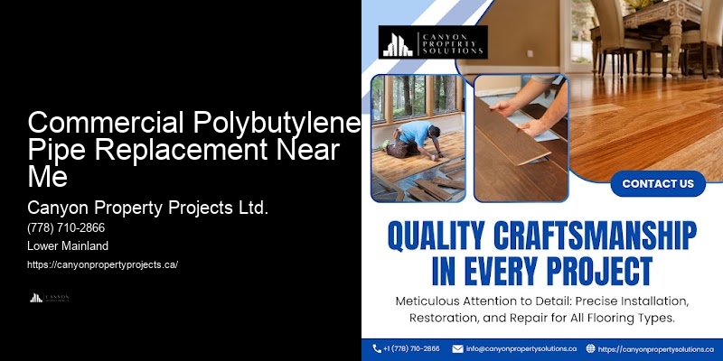 Affordable Polybutylene Pipe Inspection Commercial Polybutylene Pipe Replacement Near Me