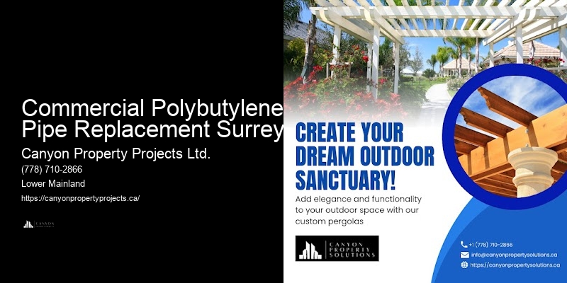 Polybutylene Plumbing Service Packages Commercial Polybutylene Pipe Replacement Surrey