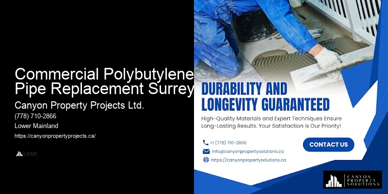Polybutylene Plumbing Consultations Commercial Polybutylene Pipe Replacement Surrey