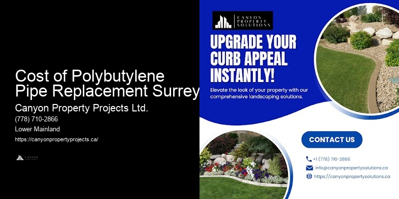 Local Polybutylene Pipe Replacement Cost of Polybutylene Pipe Replacement Surrey
