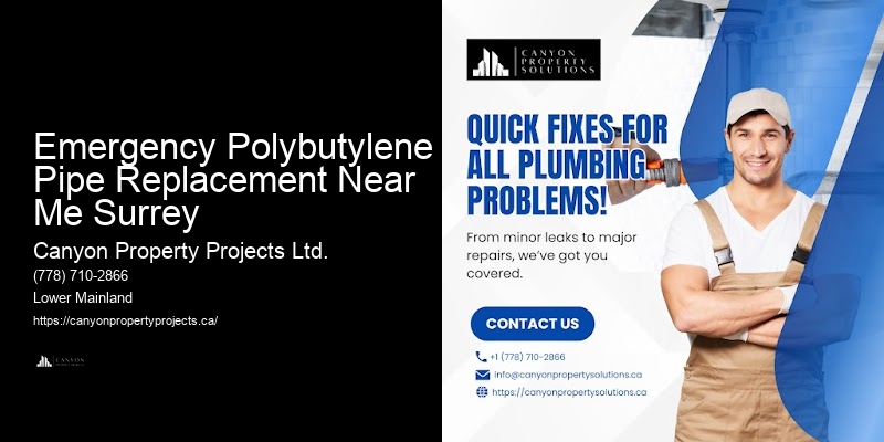 Polybutylene Plumbing Services Emergency Polybutylene Pipe Replacement Near Me Surrey