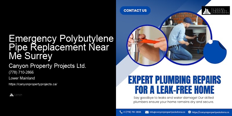 Polybutylene Pipe Replacement Cost Estimates Emergency Polybutylene Pipe Replacement Near Me Surrey
