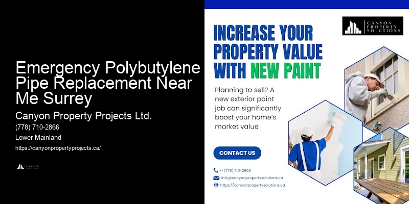 Polybutylene Pipe Replacement and Repair Services in My Area