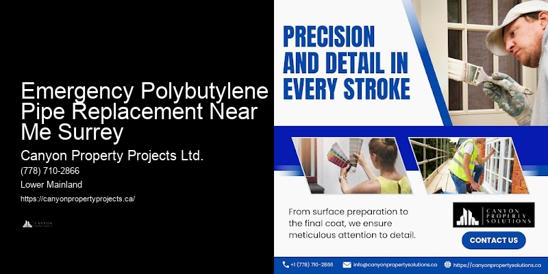 Emergency Polybutylene Pipe Replacement Near Me Surrey Polybutylene Plumbing Experts