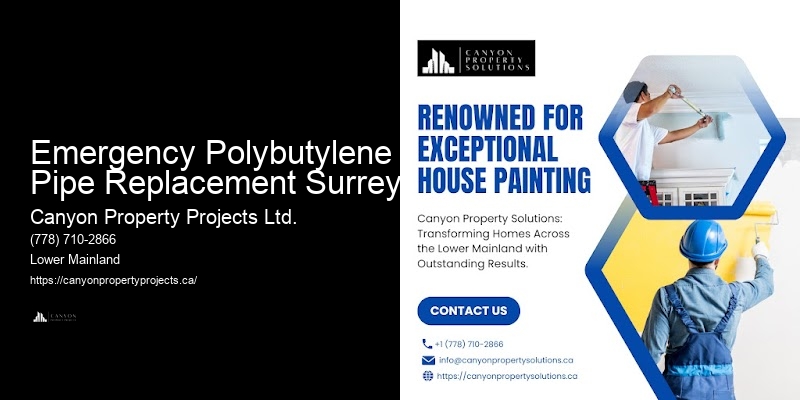 Polybutylene Pipe Inspection Checklist Emergency Polybutylene Pipe Replacement Surrey