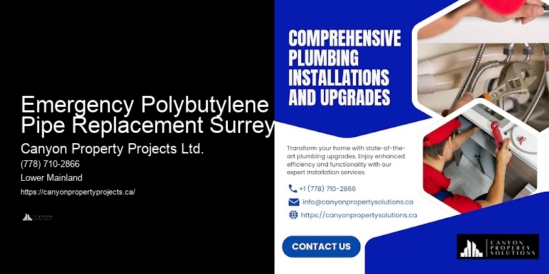 Polybutylene Pipe Advice Emergency Polybutylene Pipe Replacement Surrey