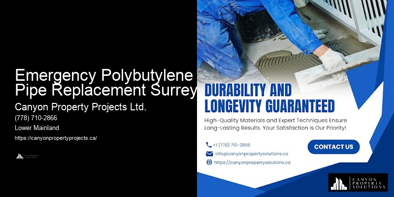 Quick Polybutylene Replacement Services Emergency Polybutylene Pipe Replacement Surrey