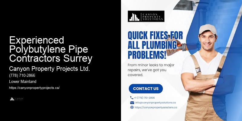 Experienced Polybutylene Pipe Contractors Surrey Polybutylene Plumbing Repair Services