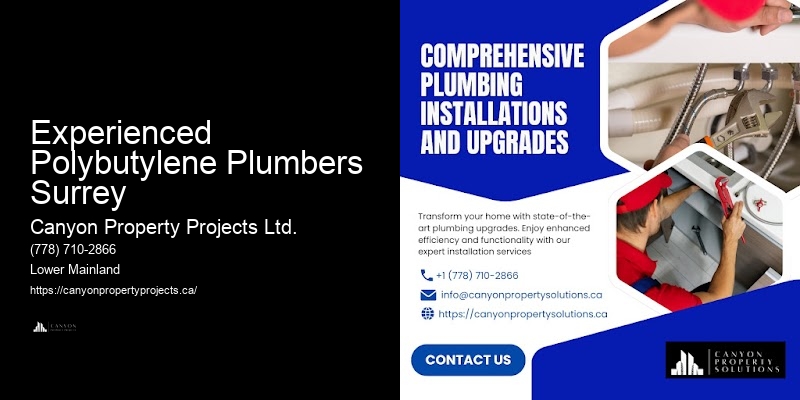 Polybutylene Pipe Replacement Financing Experienced Polybutylene Plumbers Surrey