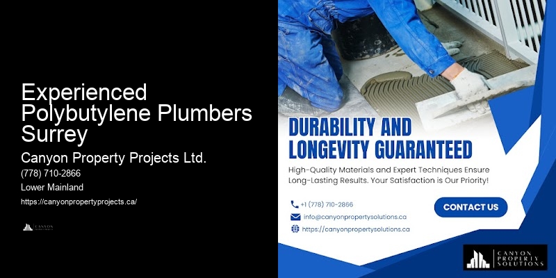 Polybutylene Pipe Leak Detection Experienced Polybutylene Plumbers Surrey