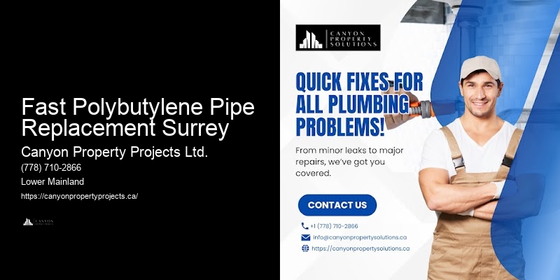 Trusted Polybutylene Pipe Replacement and Installation Services