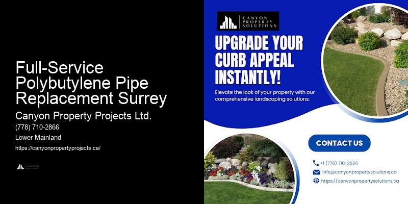 Polybutylene Plumbing Solutions for Leaks Full-Service Polybutylene Pipe Replacement Surrey