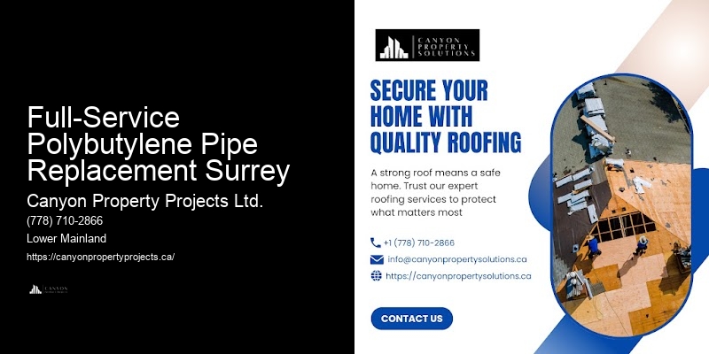 Polybutylene Pipe Assessment Full-Service Polybutylene Pipe Replacement Surrey