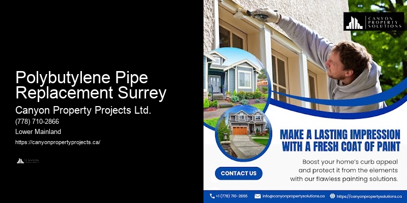 Professional Replacement for Polybutylene Systems Polybutylene Pipe Replacement Surrey