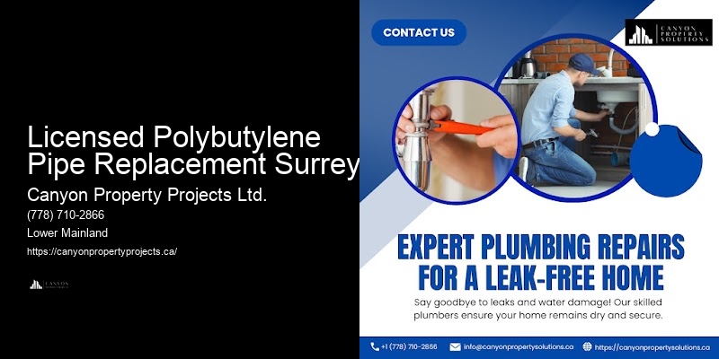 Polybutylene Plumbing Services Licensed Polybutylene Pipe Replacement Surrey