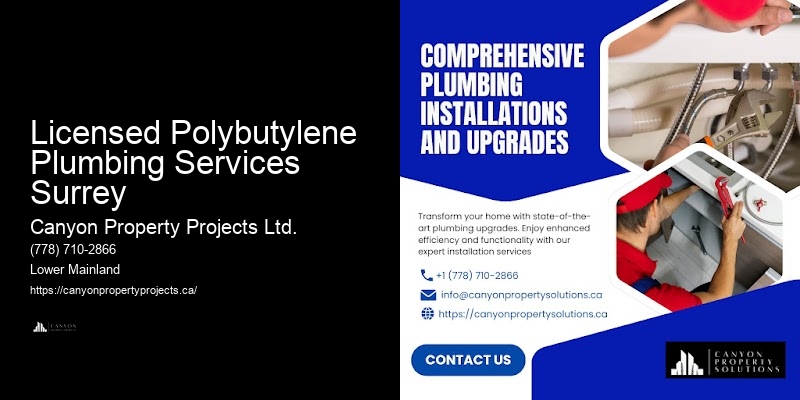 Trusted Polybutylene Pipe Replacement Company Licensed Polybutylene Plumbing Services Surrey