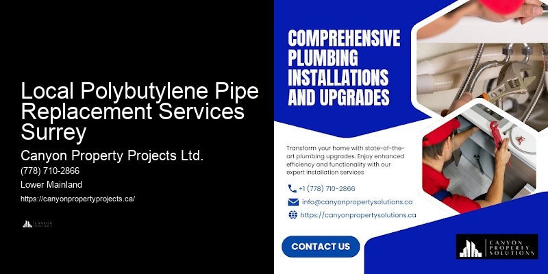 Polybutylene Plumbing Troubleshooting Tips Local Polybutylene Pipe Replacement Services Surrey