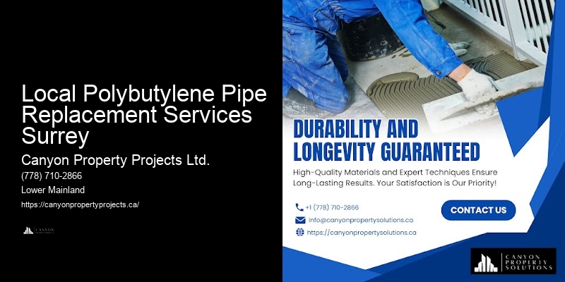 Comprehensive Polybutylene Replacement Solutions Local Polybutylene Pipe Replacement Services Surrey