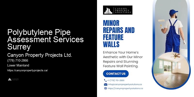 Polybutylene Pipe Assessment Services Surrey Polybutylene Pipe Replacement Services