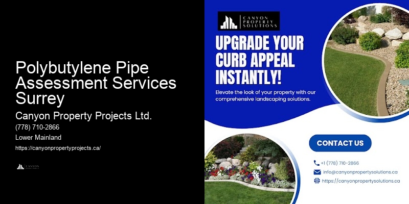 Best Practices for Polybutylene Pipe Replacement Polybutylene Pipe Assessment Services Surrey