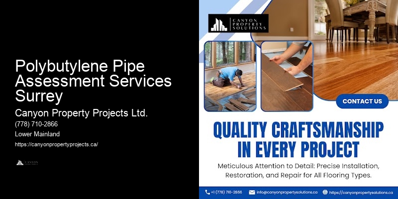 Trusted Polybutylene Pipe Technicians Polybutylene Pipe Assessment Services Surrey