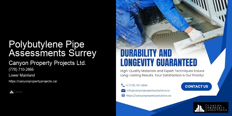 Polybutylene Pipe Leak Detection Polybutylene Pipe Assessments Surrey