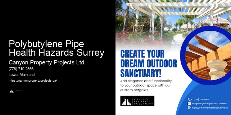Reliable Polybutylene Pipe Replacement and Repair Near Me
