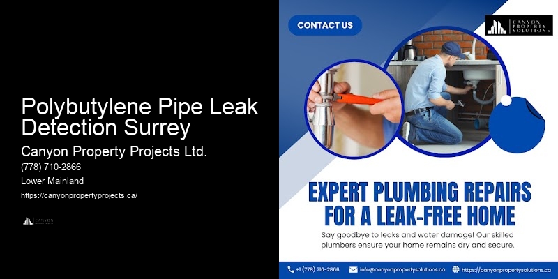 Polybutylene Pipe Replacement for Health and Safety Polybutylene Pipe Leak Detection Surrey