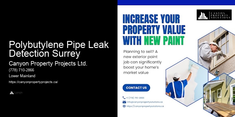 Comprehensive Polybutylene Pipe Replacement Polybutylene Pipe Leak Detection Surrey