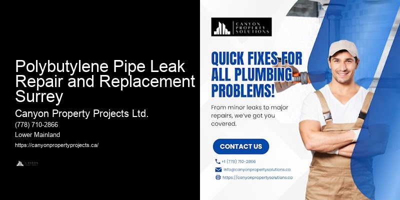 Replace Polybutylene Pipes Polybutylene Pipe Leak Repair and Replacement Surrey