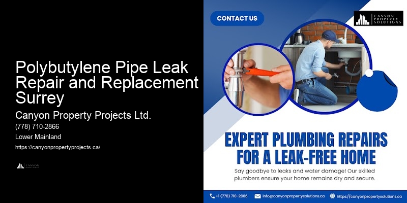 Emergency Polybutylene Pipe Services Polybutylene Pipe Leak Repair and Replacement Surrey