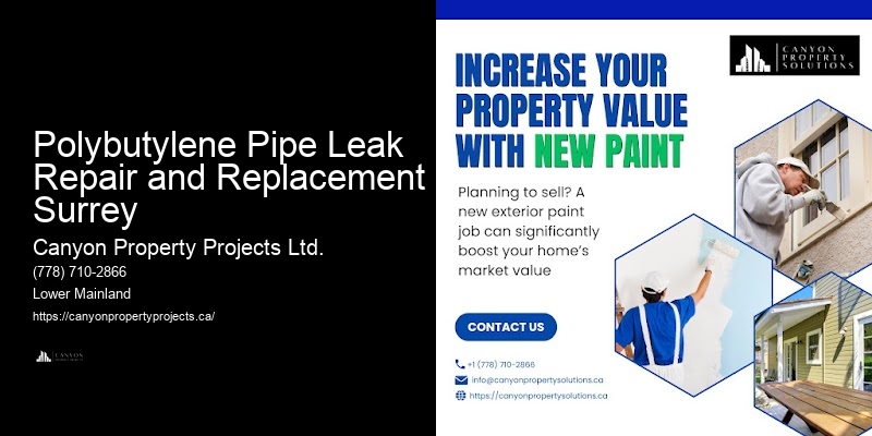 Cost-Effective Solutions for Polybutylene Pipe Replacement in Polybutylene Pipe Leak Repair and Replacement Surrey
