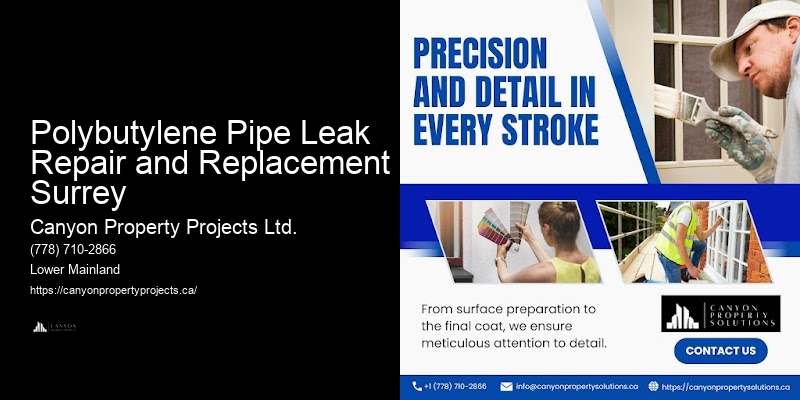 Polybutylene Pipe Leak Repair and Replacement Surrey Polybutylene Plumbing Replacements
