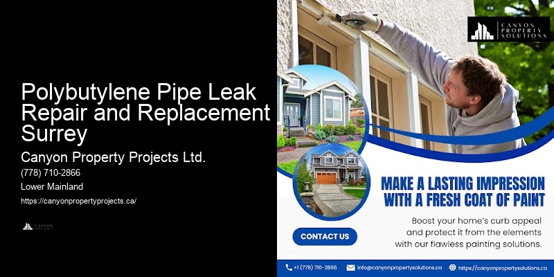 Fast Polybutylene Plumbing Services Polybutylene Pipe Leak Repair and Replacement Surrey
