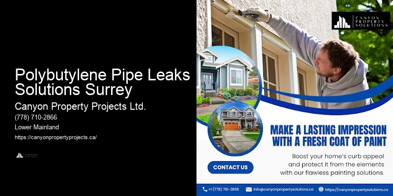 Polybutylene Pipe Maintenance Polybutylene Pipe Leaks Solutions Surrey