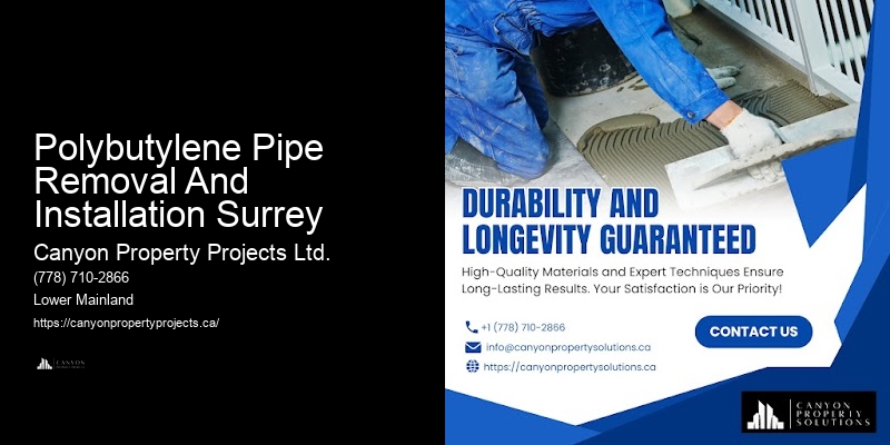 Highly-Rated Polybutylene Pipe Services Polybutylene Pipe Removal And Installation Surrey