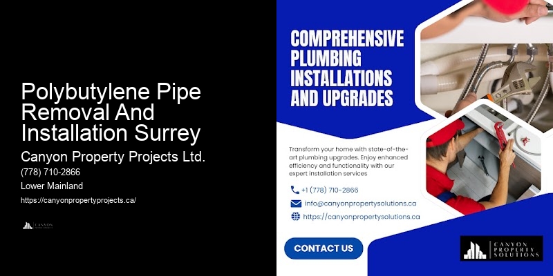 Polybutylene Pipe Repair and Replacement Polybutylene Pipe Removal And Installation Surrey
