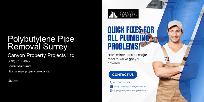 Polybutylene Pipe Replacement FAQs Polybutylene Pipe Removal Surrey