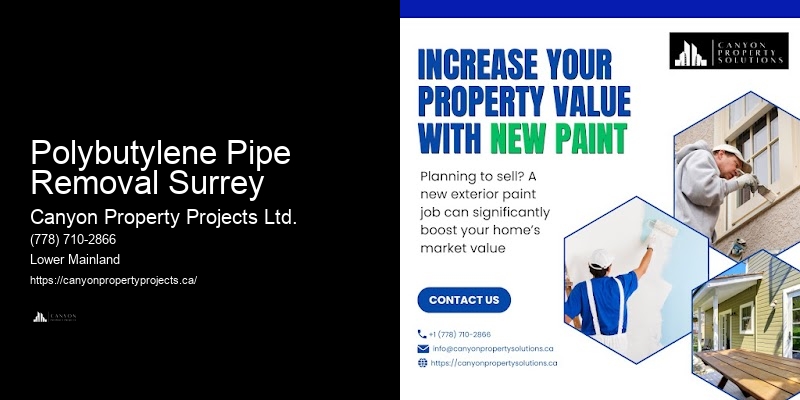 Best Polybutylene Pipe Replacement Practices Polybutylene Pipe Removal Surrey