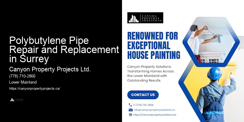 Polybutylene Pipe System Evaluation Polybutylene Pipe Repair and Replacement in Surrey
